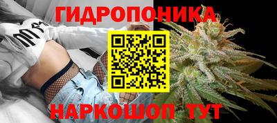 мдма Моздок