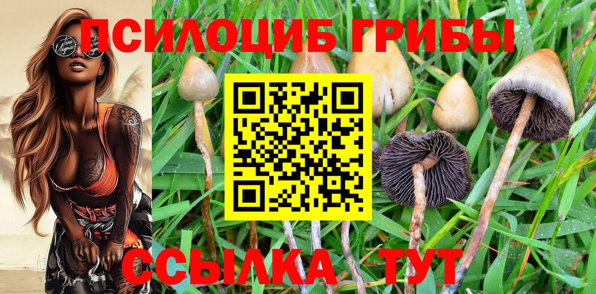 Галлюциногенные грибы Magic Shrooms Вятские Поляны